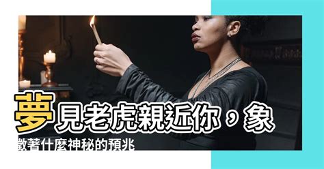 夢到三隻老虎|夢見三隻老虎